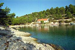 ein tolles Bild von der Insel Losinj in Kroatien