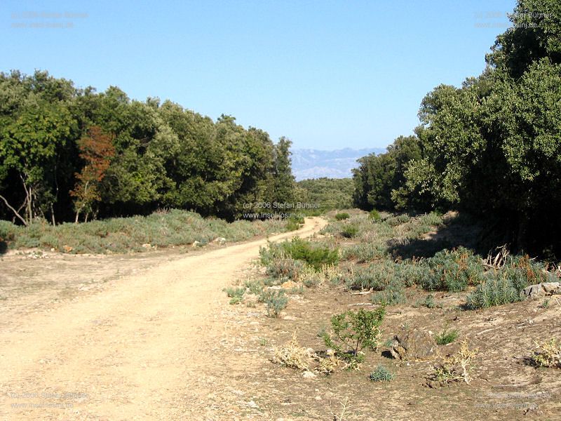 Weg ins (n)irgendwo  ? ...  im Hintergrund das Velebitgebirge auf dem Festland .. irgendwo zwischen dem Ende des Weges und dem Velebit ist unser Ziel, die Adria