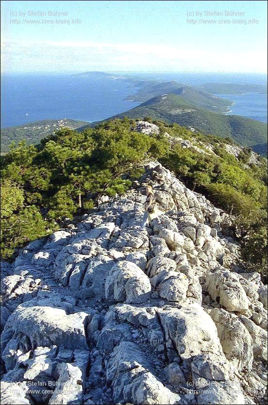 auf dem Osorscica bei Nerezine auf der Insel Losinj