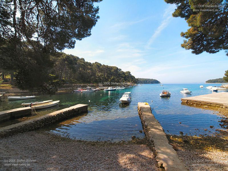 in der Cikat Bucht in Mali Losinj - Kroatien