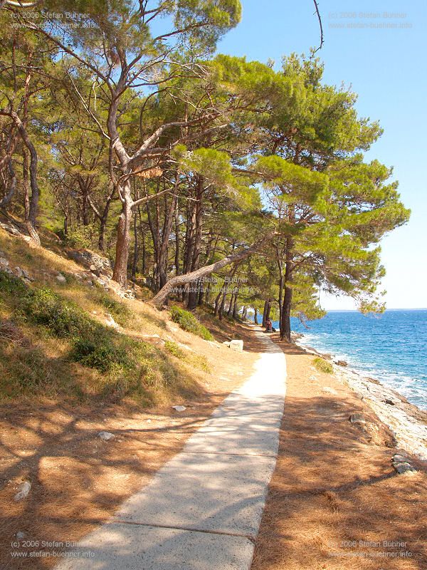 Wanderweg zwischen Veli Losinj und Mali Losinj zum Strand / Bucht Valdarke in Mali Losinj - Kroatien