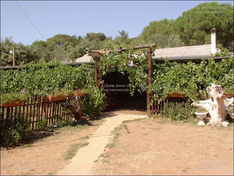 ein Geheimtip - die Konoba Balvanida in de gleichnamigen Bucht bei Veli Losinj